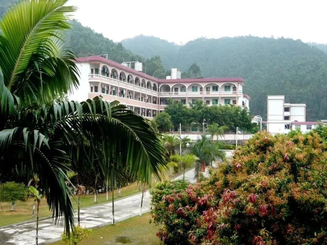 小编找了些涉外的硬货，希望能帮到3+证书补录的你｜广州涉外学院