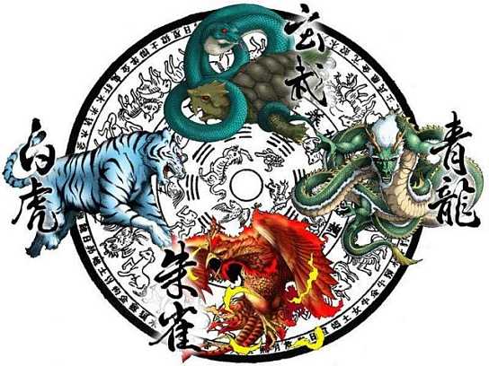 打一生肖(仗马寒蝉)打一生肖猜什么动物?