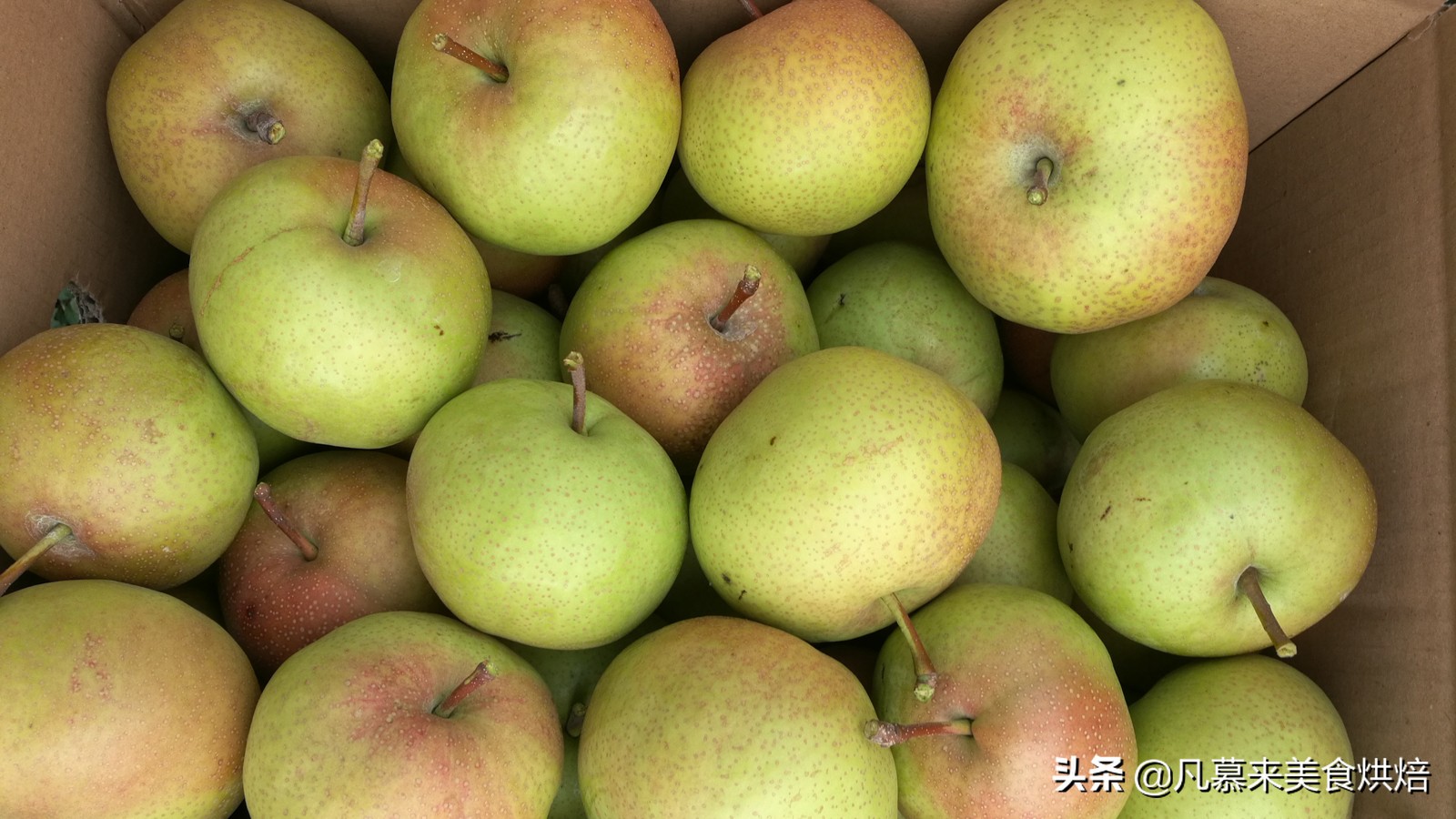 所有水果的名称和图片(全中国有多少种梨子) - 赤虎壹号