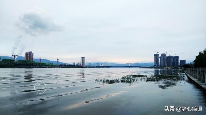 接受别人的友好，但要留够安全距离