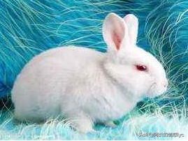 给女朋友讲很污，很暖的故事