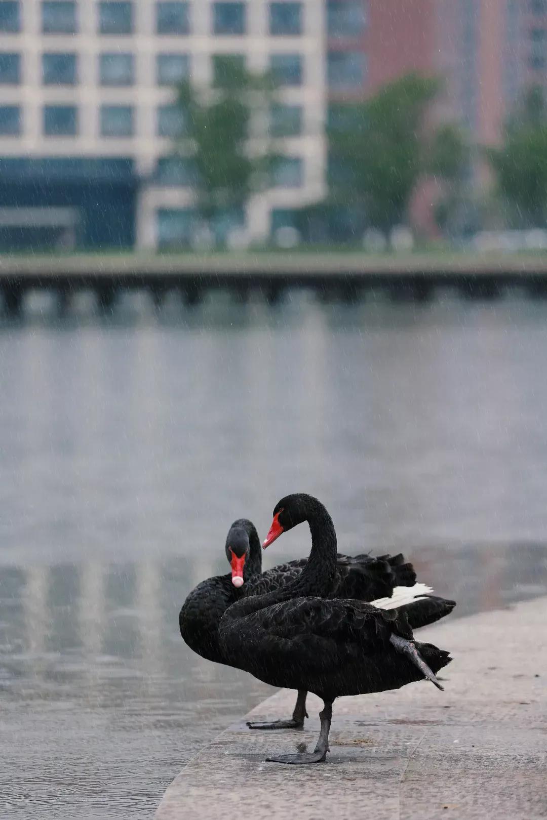 安徽新華學院是幾本?是什么性質學校(圖35)