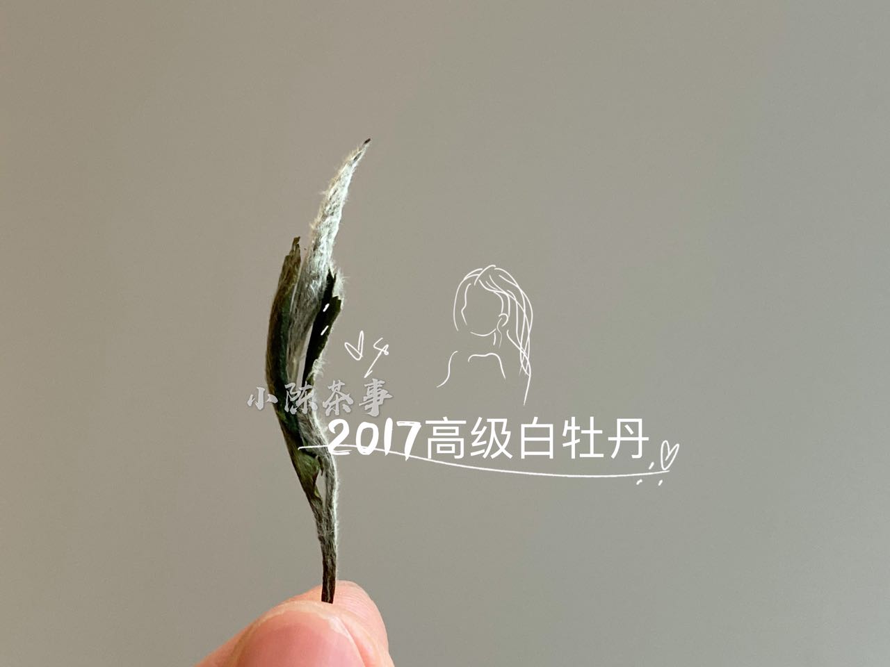 陈年的白牡丹，带有浓浓的香烟味，这是转化出来的陈香？扯淡