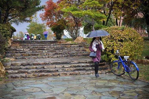 从高校名称上能够区分“公办”与“民办”？