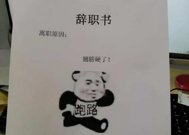 00后毕业生“辞职信”火了，理由很嚣张，网友：做了我不敢做的事
