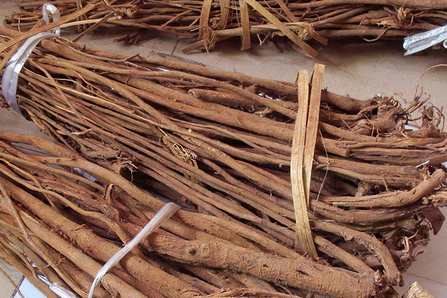 人称"一条根",农民腌咸菜用它防蝇,名字带"茶"却不能泡茶