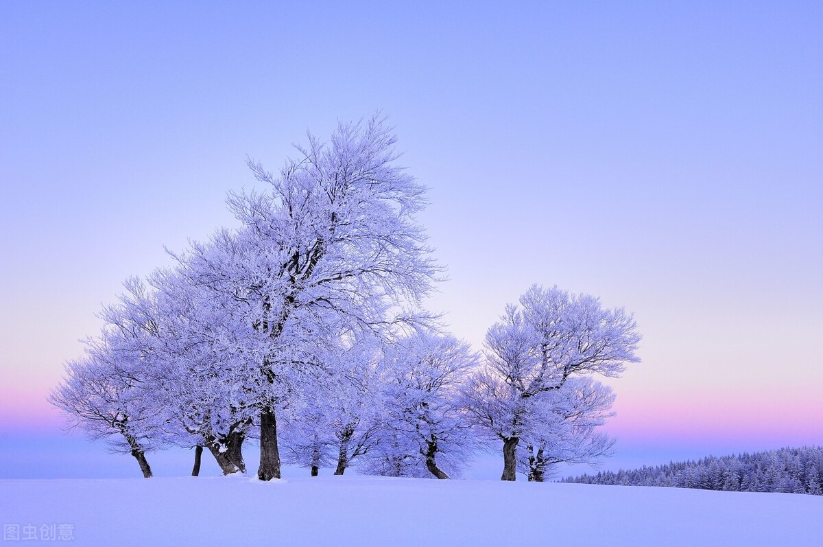 洁白的雪，我爱你，我爱你的纯洁，把大地打扮得多么美丽