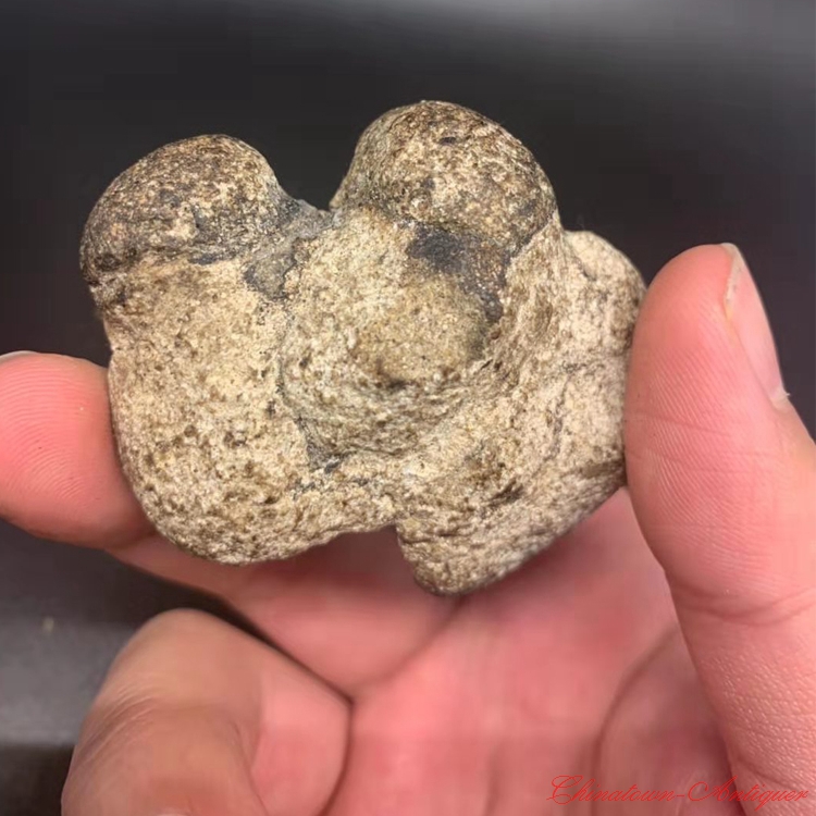 鯨排泄物龍涎香，為什麽拉出來的香且比黃金貴，人工取出來的臭？