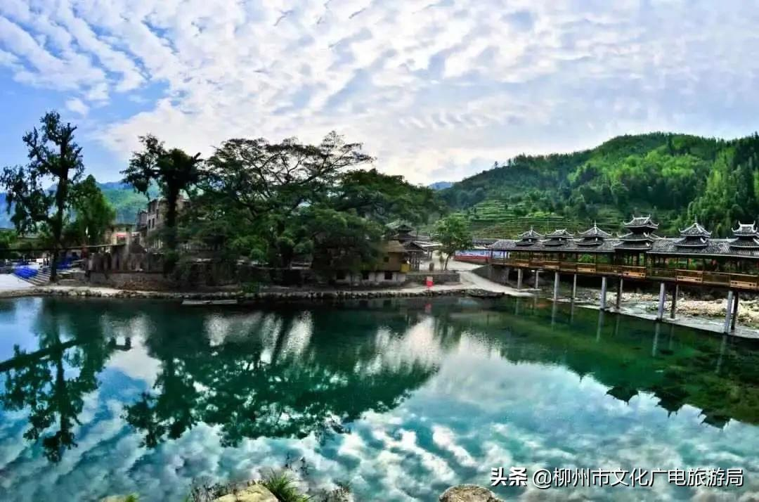满山金色稻浪,为你换一屏秋色