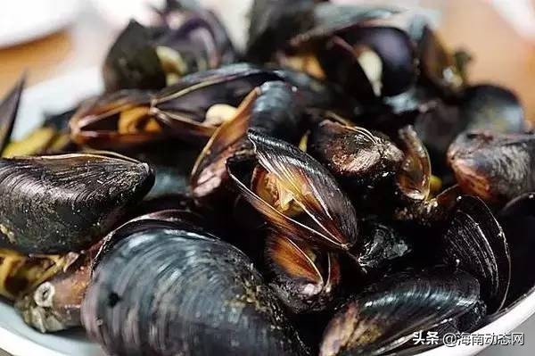 海魚圖片大全,海魚圖片大全及名稱