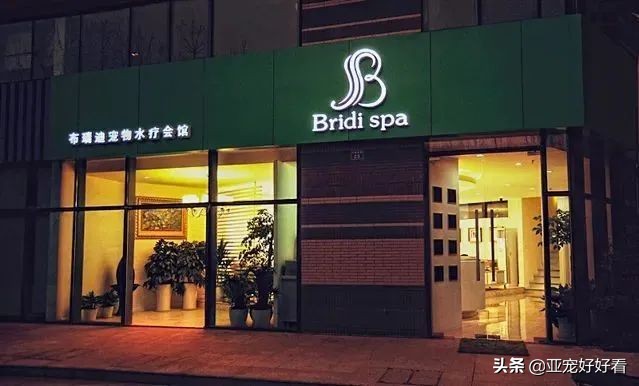 亚宠云课堂∣4月21日吴起支招宠物门店如何避免不当犬猫服务操作