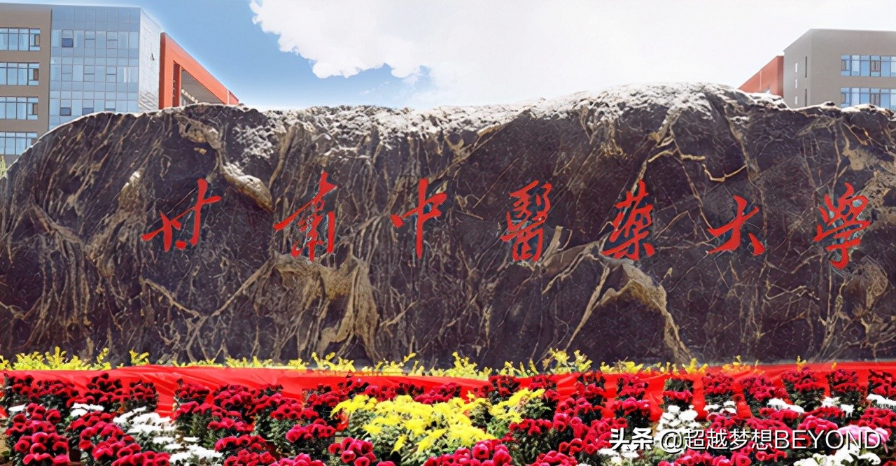 甘肃中医药大学2021年本科专业录取分数、位次统计（甘肃）