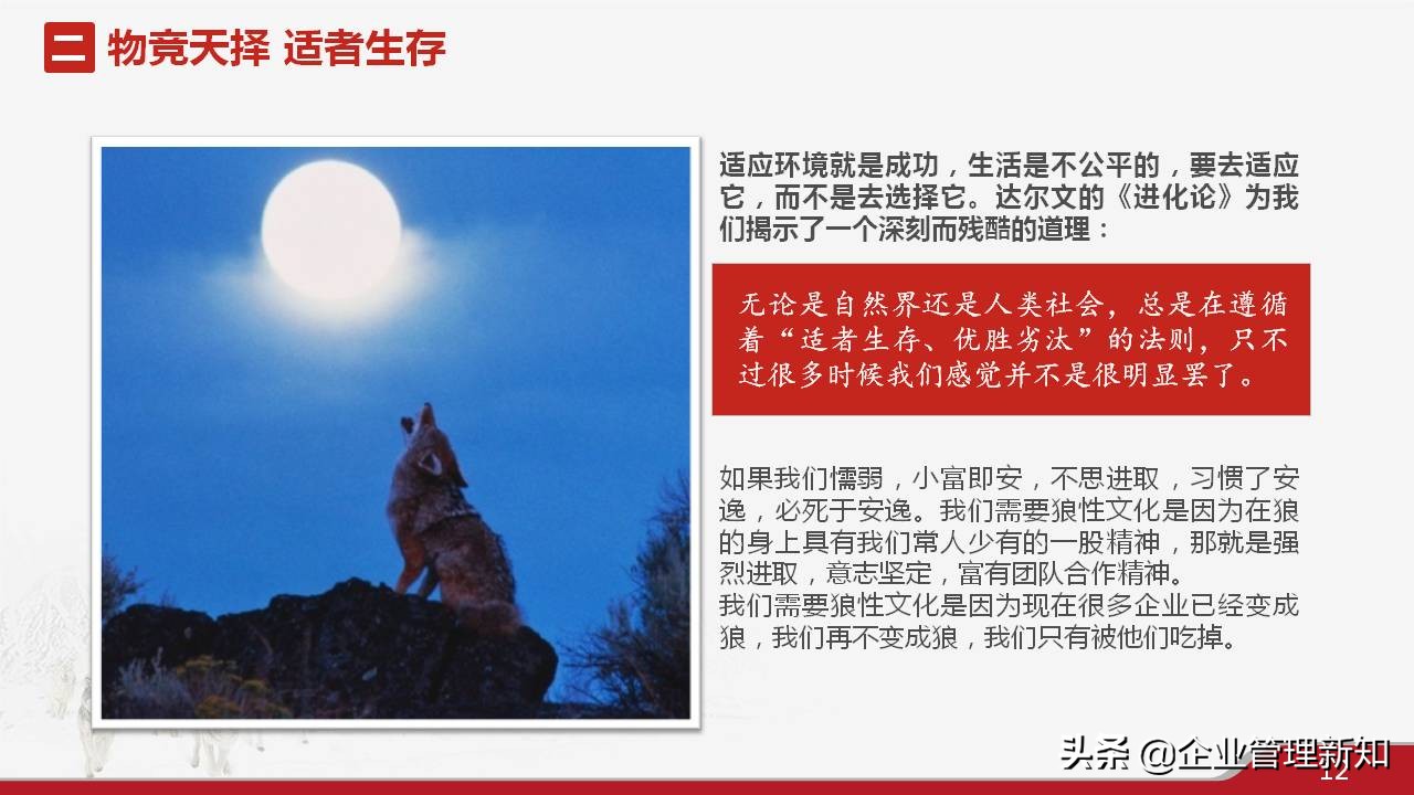 33页完整版，狼性文化与企业精神培训PPT，可直接用于员工培训