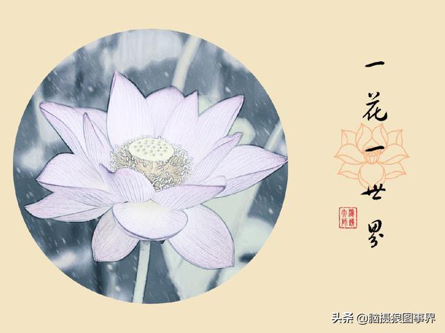 这4款专业的手机摄影修图APP，你都用过吗？