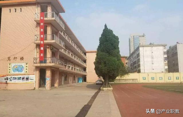 上榜！多人被知名高校录取，陕西商洛这几所高中学校，你知道哪些