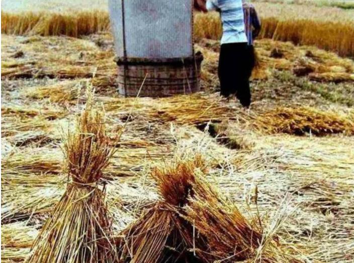 1988年，四川“白岩洞剿匪”：千名军警参与围剿，解放军出动支援