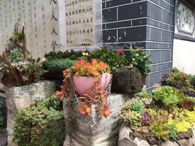 最美的尼姑庵，不烧香只种花，看一眼就想出家