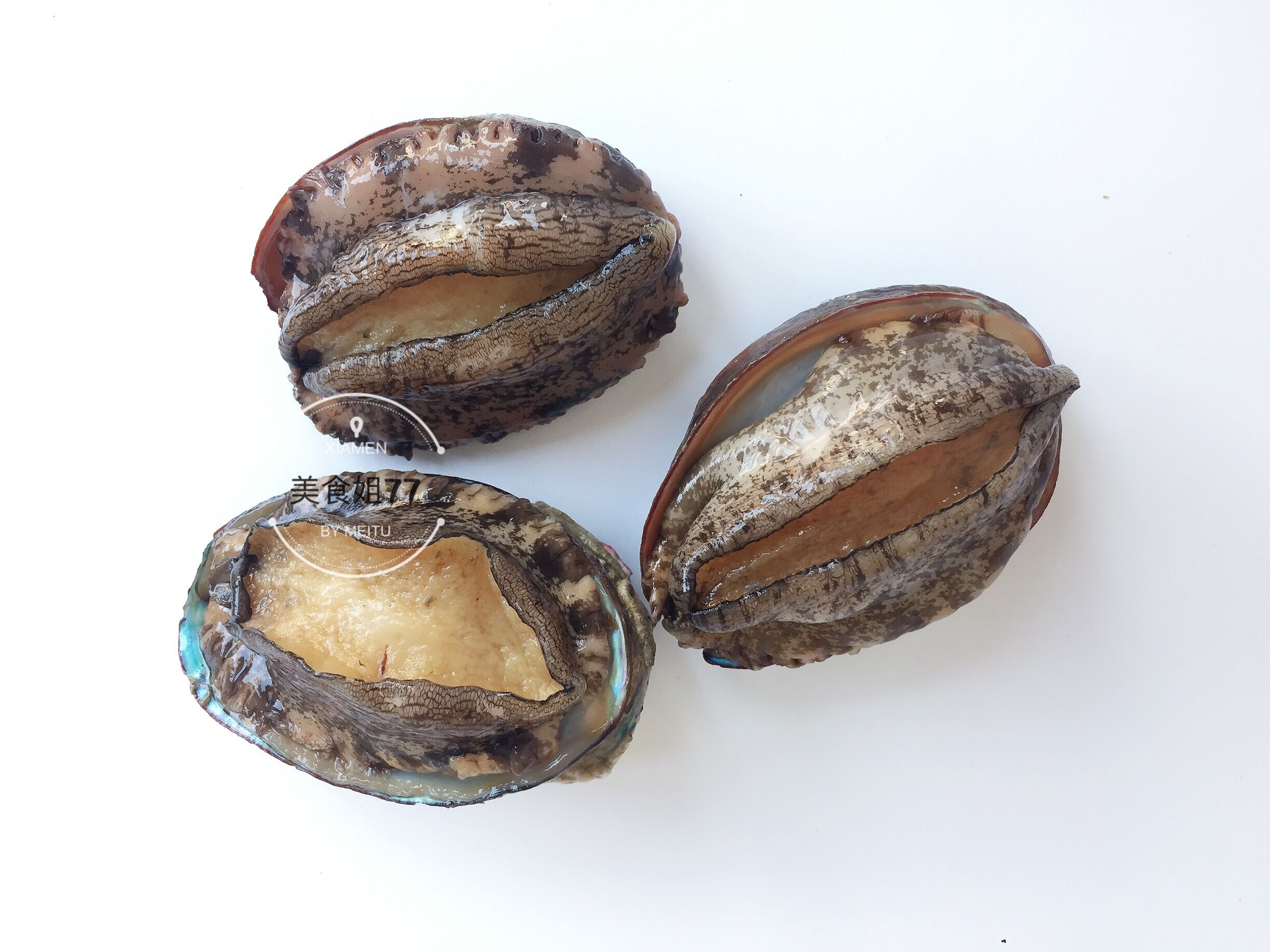 鲍鱼价格与营养价值立夏后