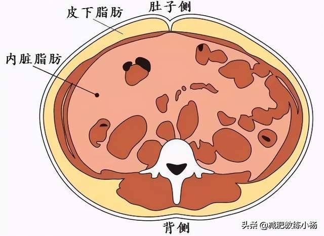 肚子上的贅肉到底要怎麼減？仰臥起坐可沒用，怎樣才能高效虐腹