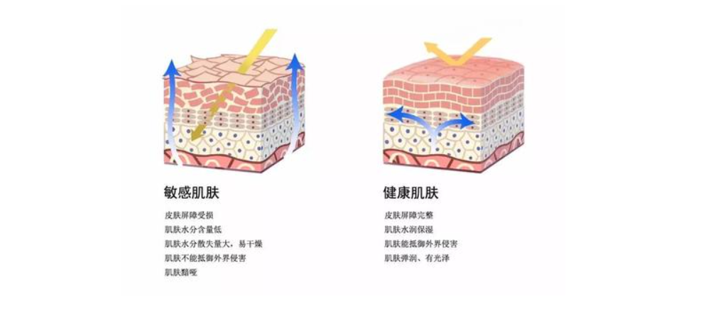 谈性价比，国货更能打！百元内10款平价好用的秋冬护肤好物推荐