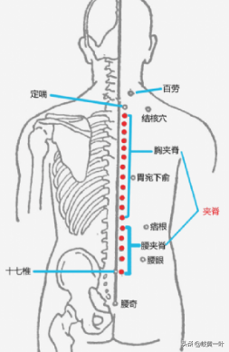 关节炎的辩证针灸，风寒湿痹的辩证论治。