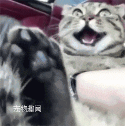 2020版最新法官、检察官表情大全！哈哈哈