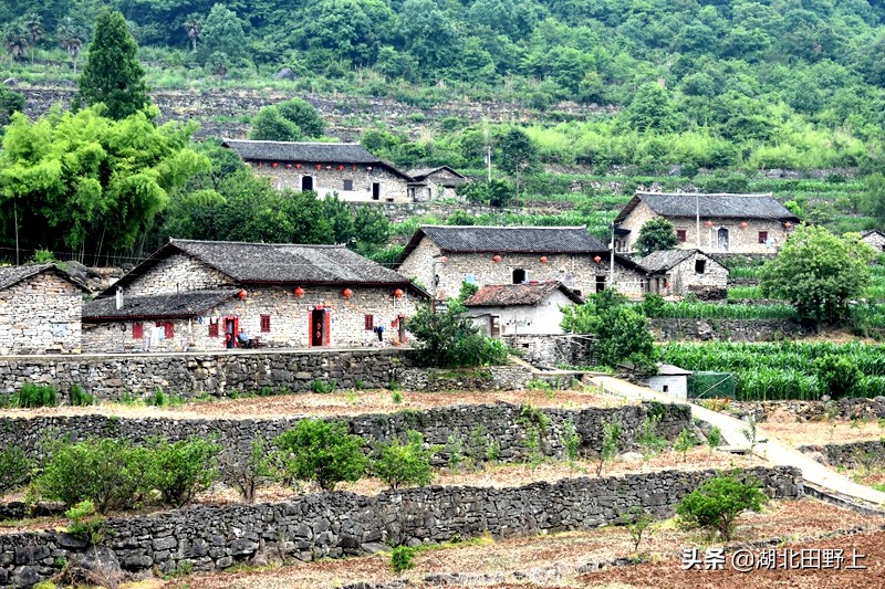 百年石屋南岔湾，乡村振兴在路上——田野上团队下乡小记