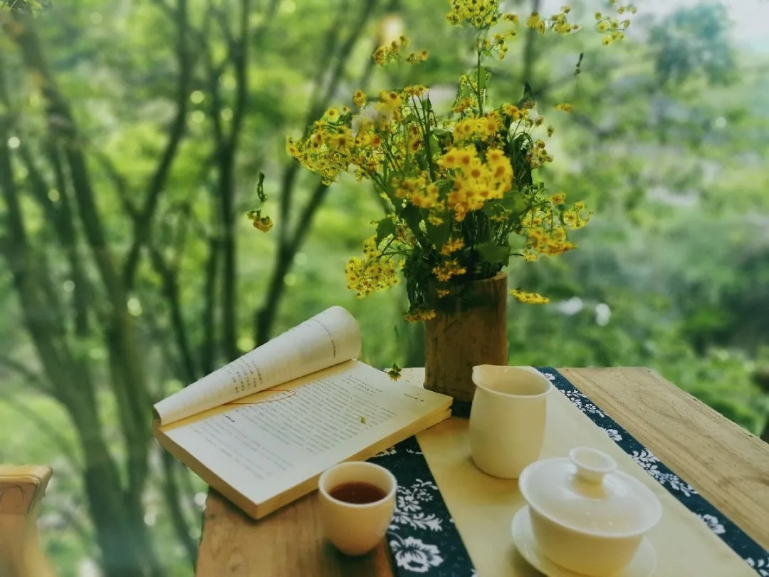 到青城山，解锁夏日最最最清凉的耍法