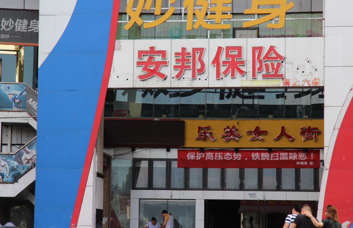 汽车“保险标”还用粘贴吗？为什么保险公司不发了？别急我教你