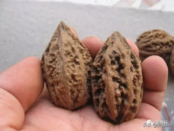 能在山上“白嫖”的10种手串,包浆超美