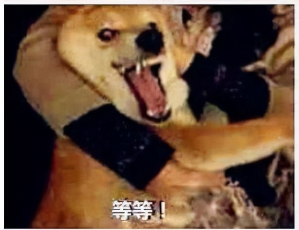 1000元档手机横评：性能、影像与续航全面爆发的爆款机型推荐