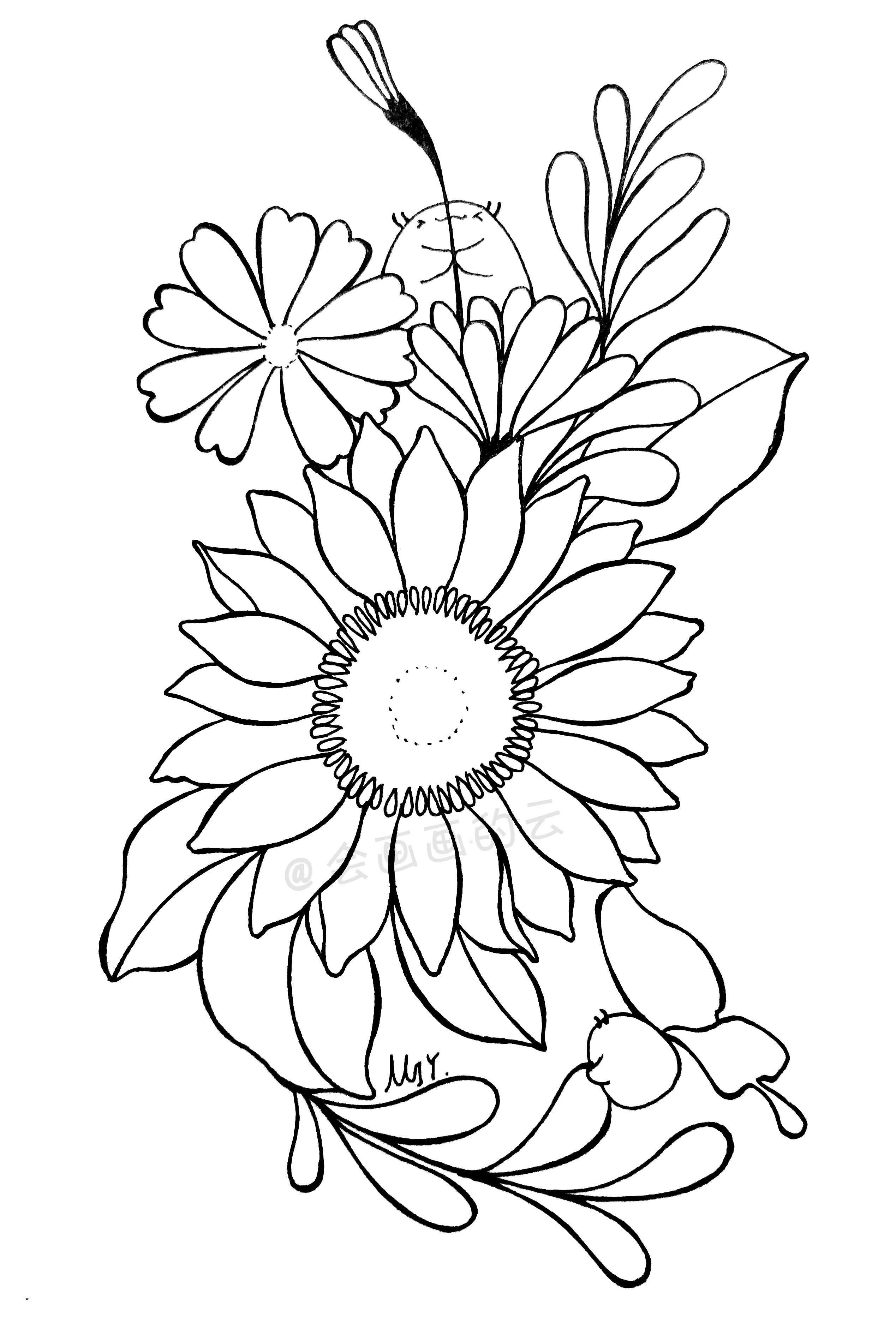 各种花的简笔画(最常见的工具画出好看的花朵)