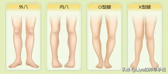 女生是不是处女,看这些特征就知道?