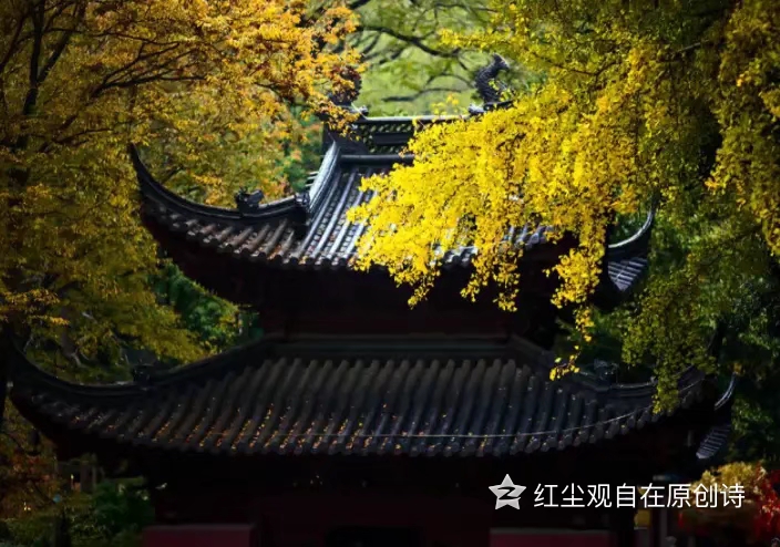 郦波之《旅夜作书》到底是不是咏怀诗？别被带偏了