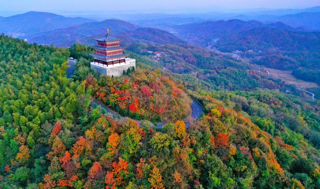 这里私藏了醉美的秋景！层林渐染，美到心醉