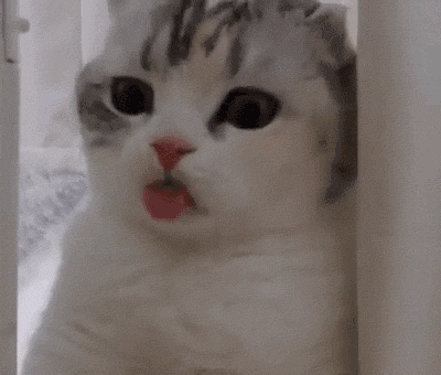 2020版最新法官、检察官表情大全！哈哈哈