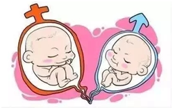 三代试管婴儿比一代、二代好吗？