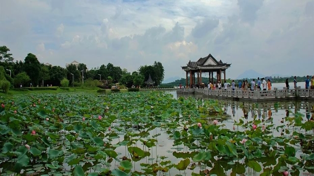 东莞马山仙境(东莞马山仙境的水可以喝吗)