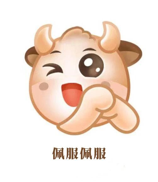 一年有多少天,
