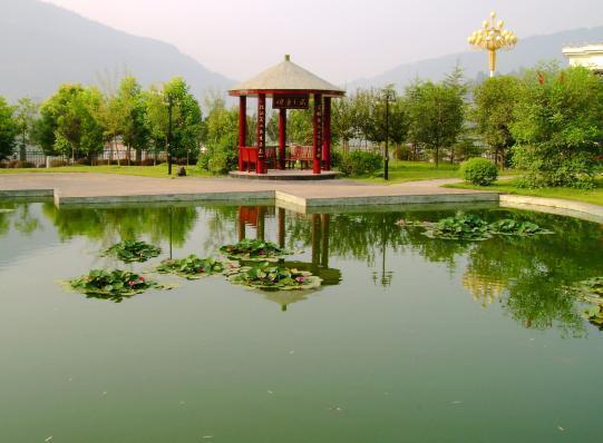 四川达州这5所高中，优秀考生争相报考，你知道原因吗？