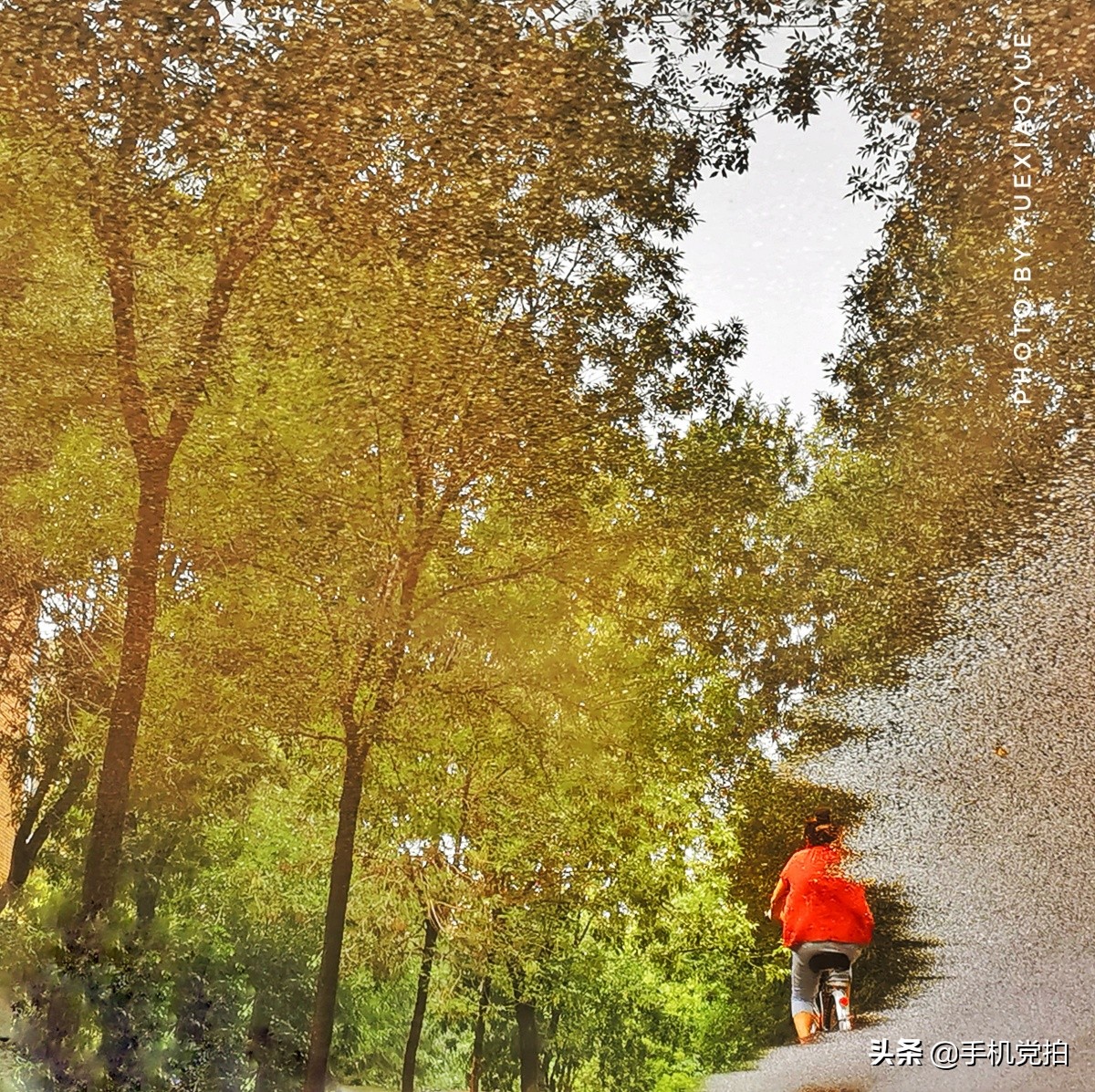 手机拍生活｜教你5招拍出有趣“镜像、折射”感觉