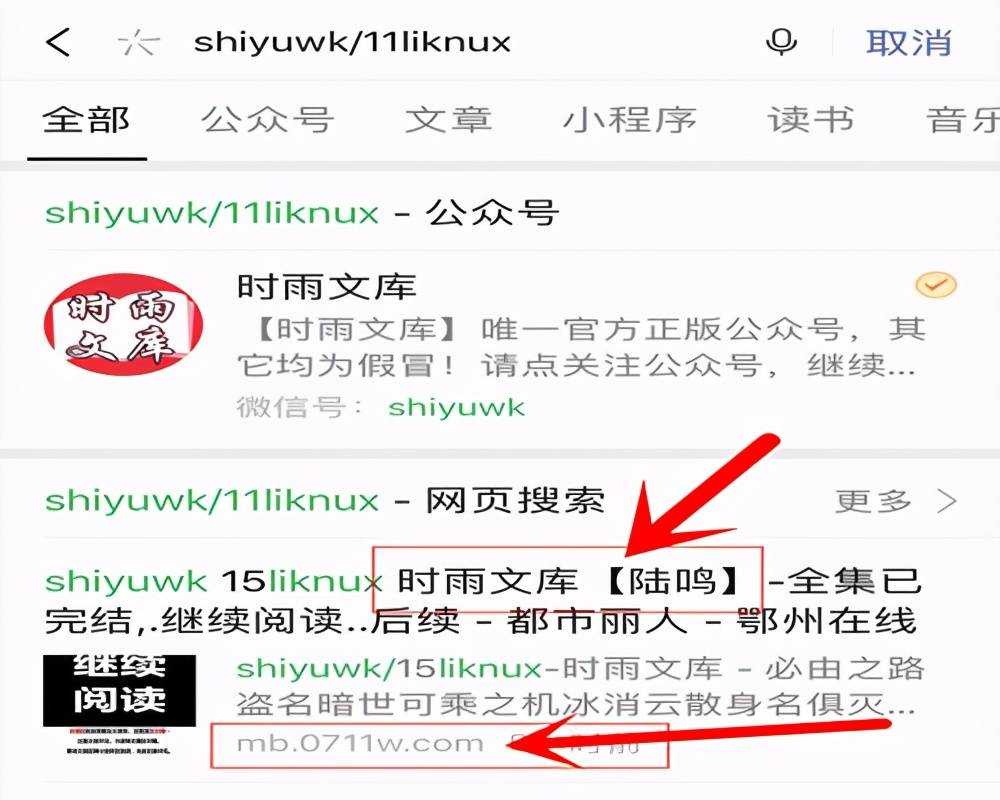 另类小说分销玩法，利用公众号截流，日入1000+很简单