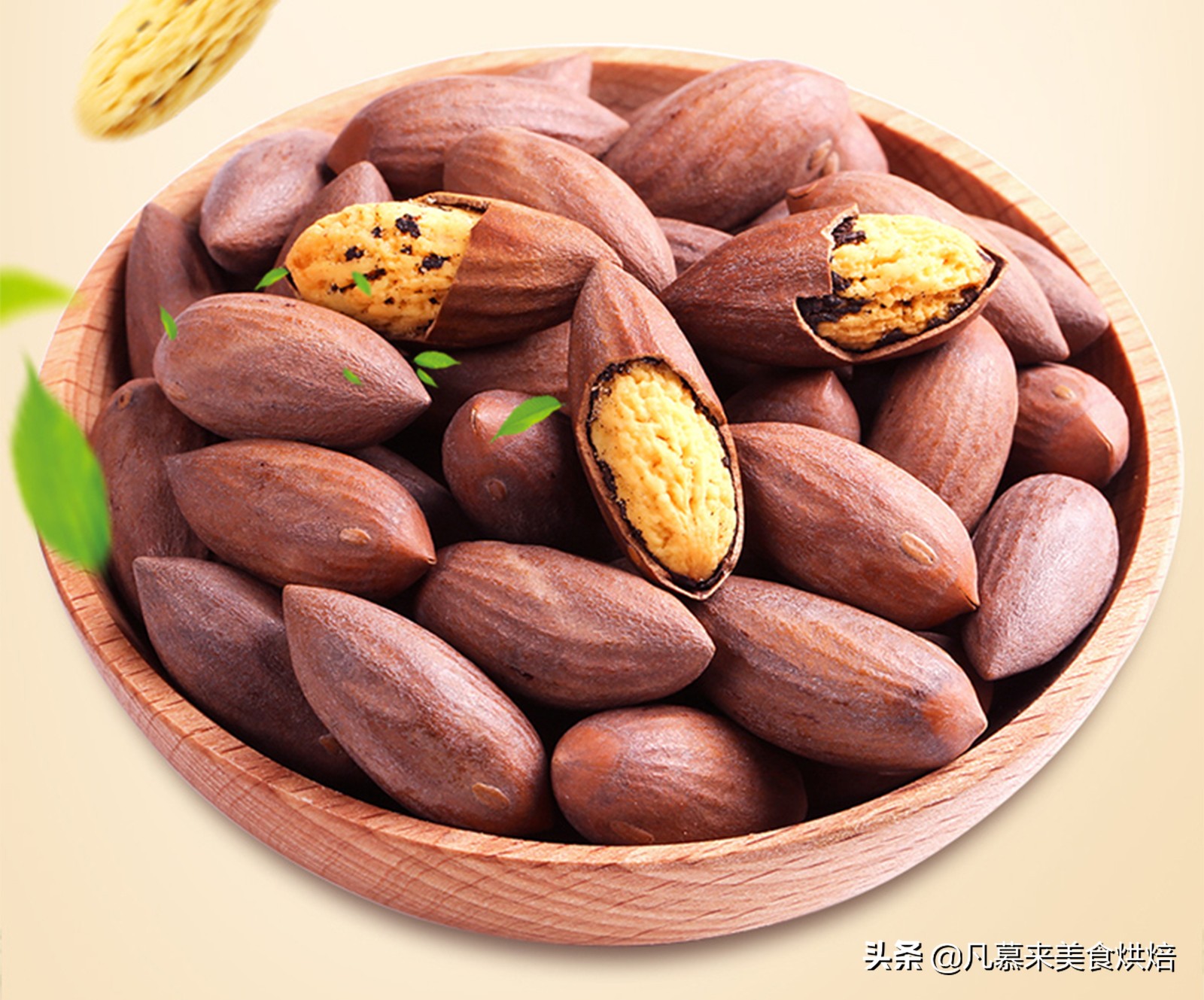 有多少种坚果哪些果子属于坚果有哪些