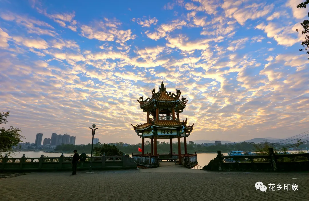 关于横县海棠公园的散文(广西横县海棠公园) _晶羽科技