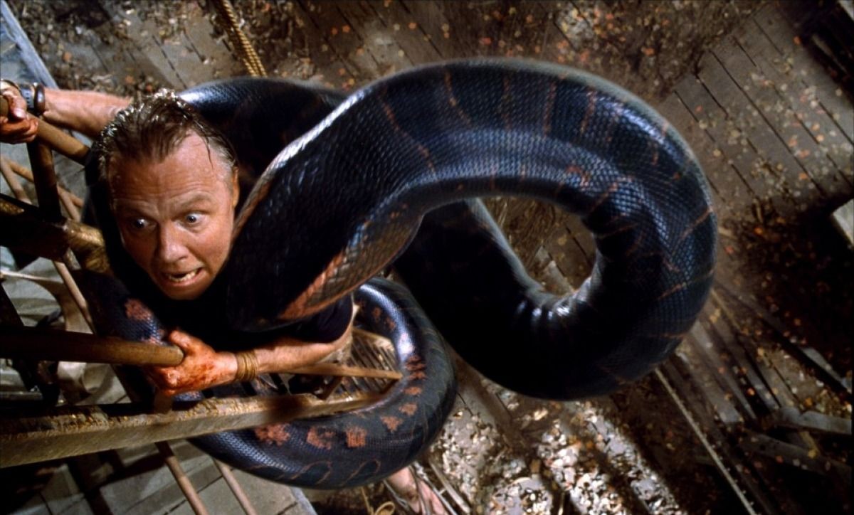 印尼捕获9米巨蟒！活人被蟒蛇吞下还能活命吗？动物学家亲自实验
