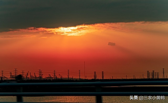 7月7号小暑，小暑刮风预兆什么年景？农谚俗语有预测，早看早知道