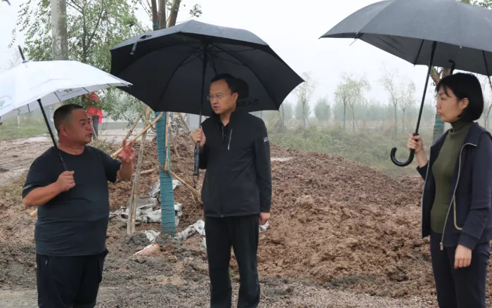 10月4日·邯郸要闻快报：邯郸最新人事任免；丛台区区长刘丹主持召开区政府第4次常务会议