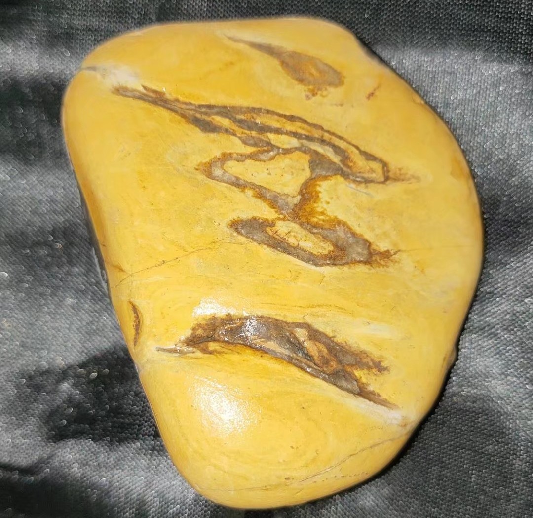 黄河石头鱼怎么养不容易死「记得收藏」 -骁龙网