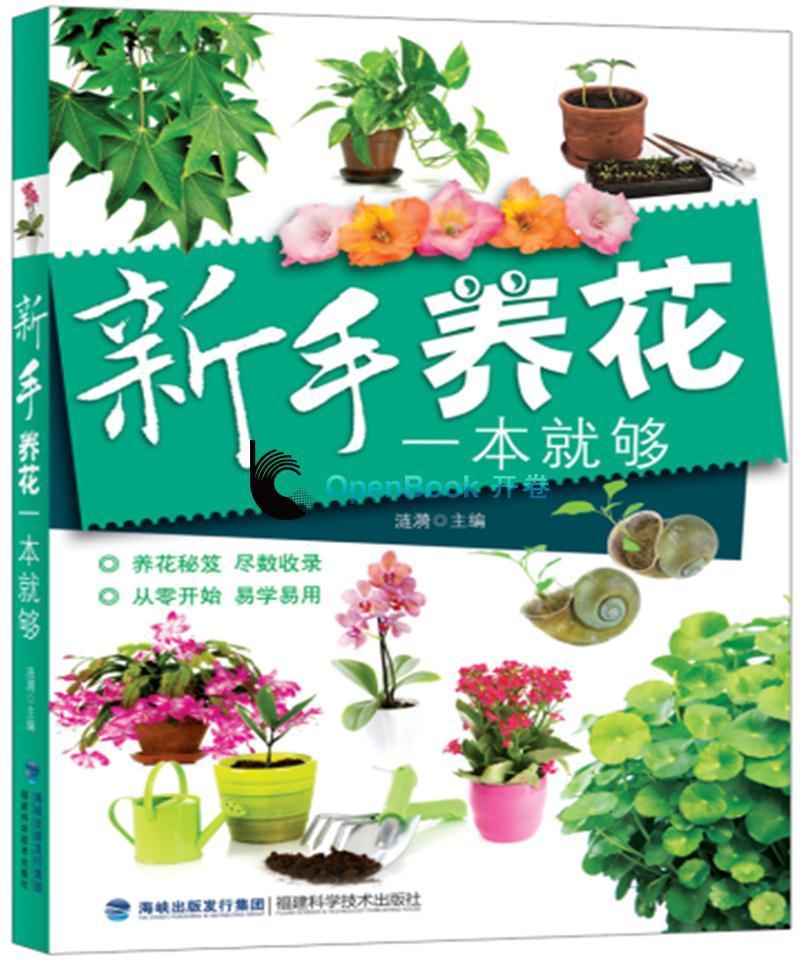母亲节送什么礼物最好（母亲节送什么东西比较实用）