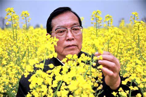 湖南省内最低调的一本大学，实力强劲，录取分数线却不高